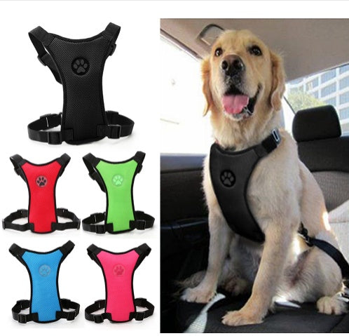 Dog harness with car safety leash.