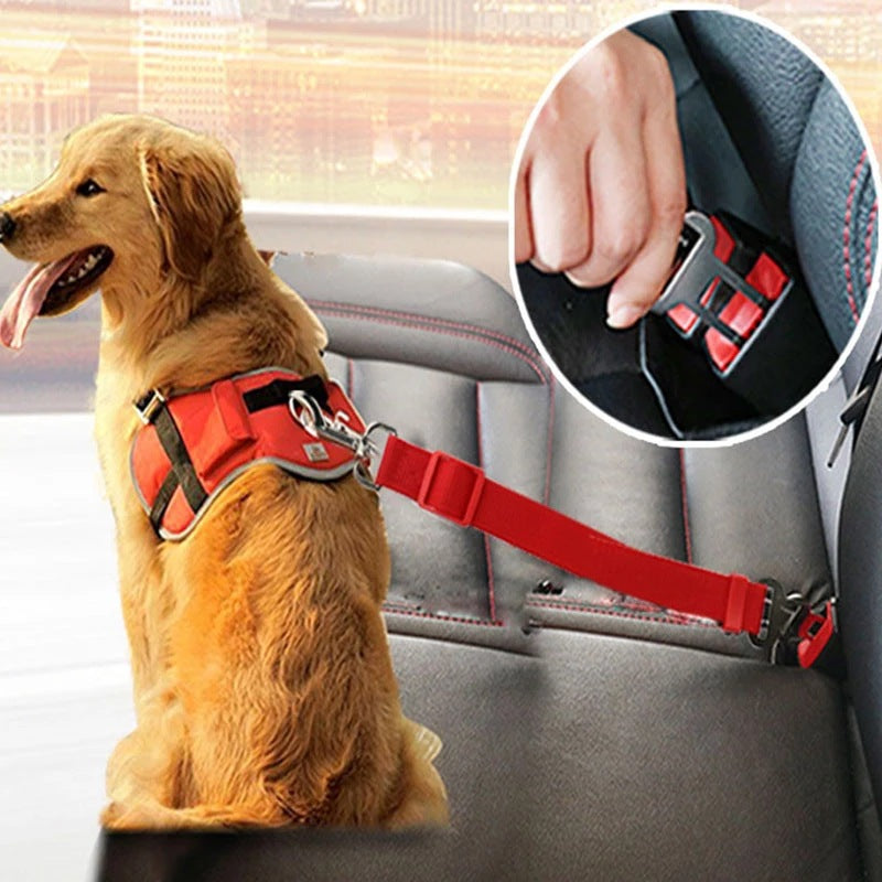 Adjustable car safety leash for dogs