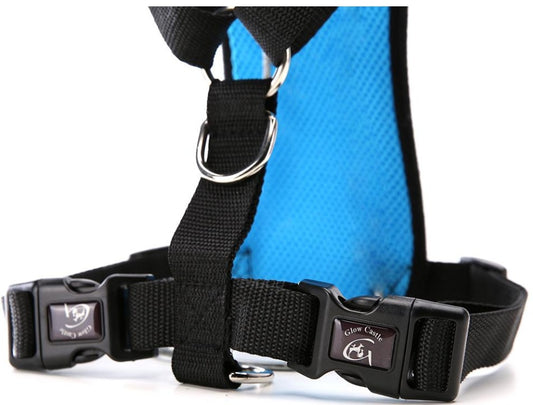 Dog harness with car safety leash.