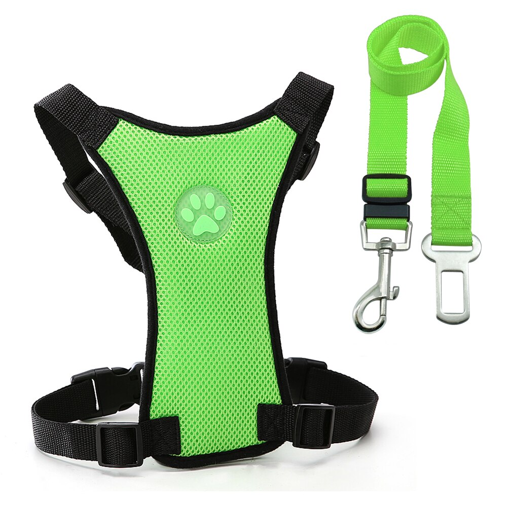 Dog harness with car safety leash.