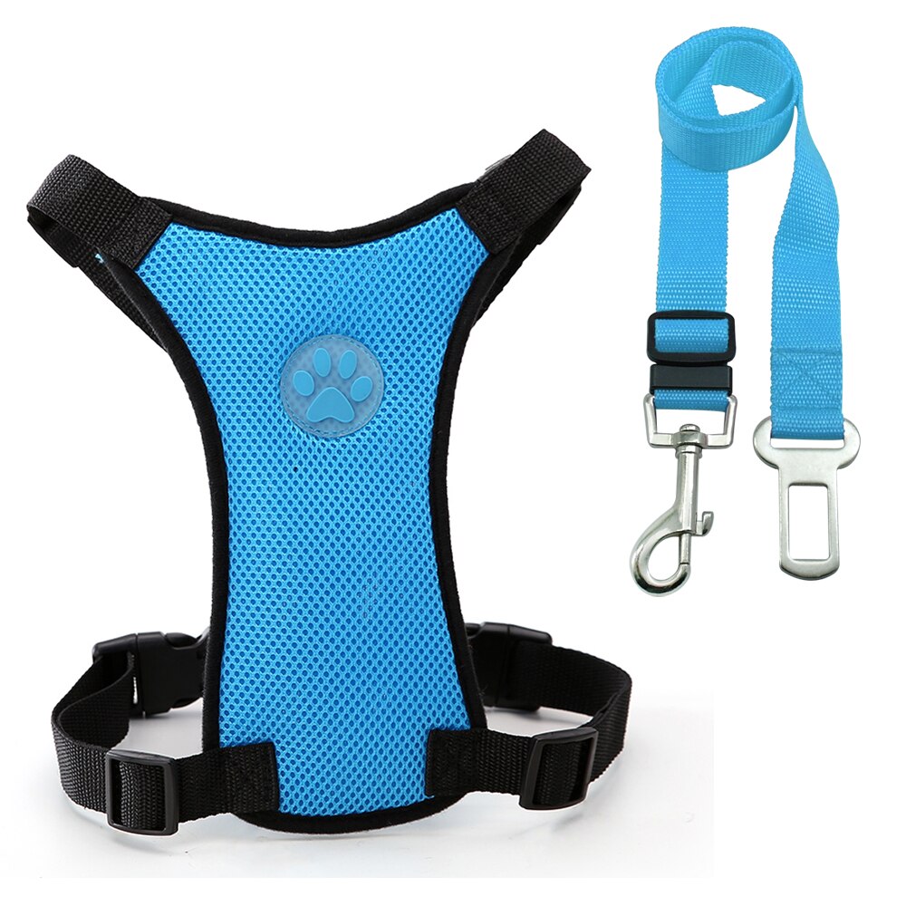Dog harness with car safety leash.