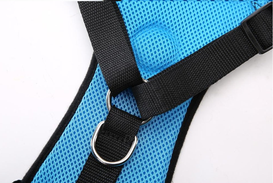 Dog harness with car safety leash.