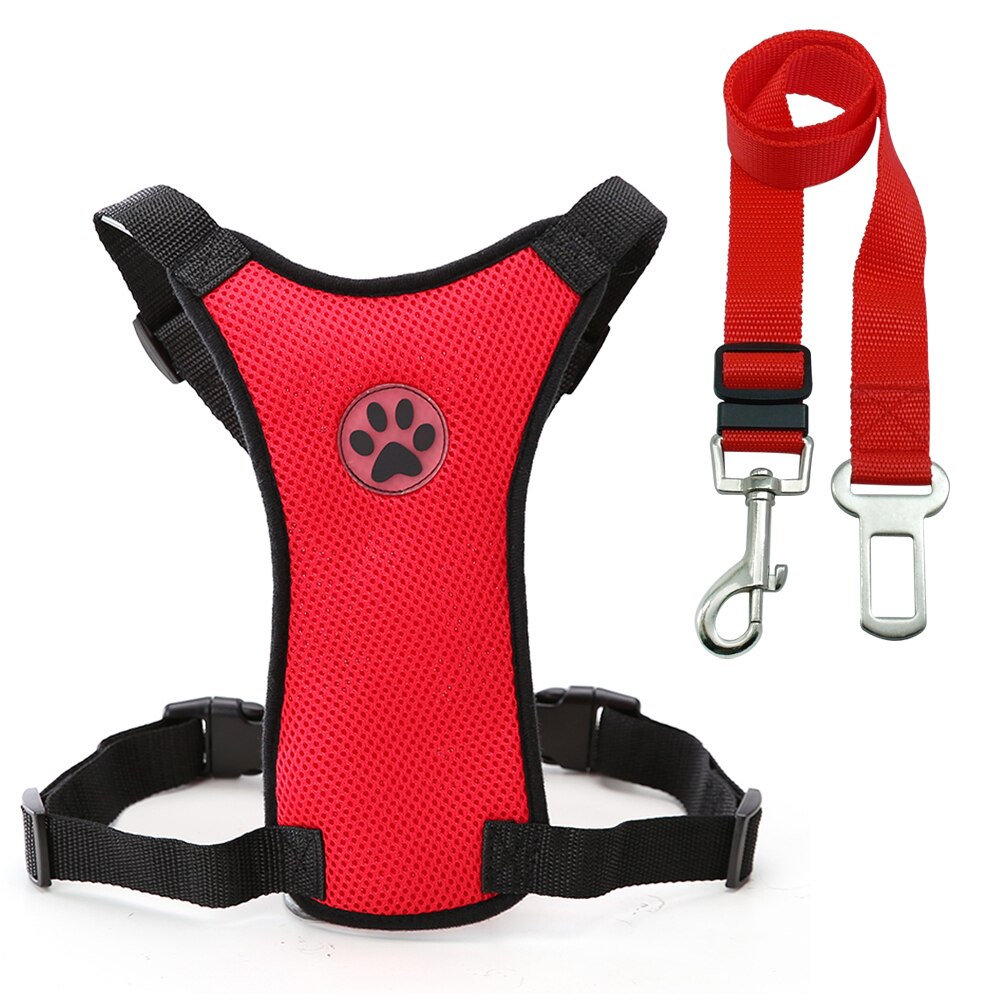 Dog harness with car safety leash.